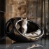 Black Cat Bed